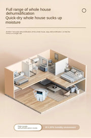 Compact Dehumidifier for Bedroom  Quiet & Energy Efficient