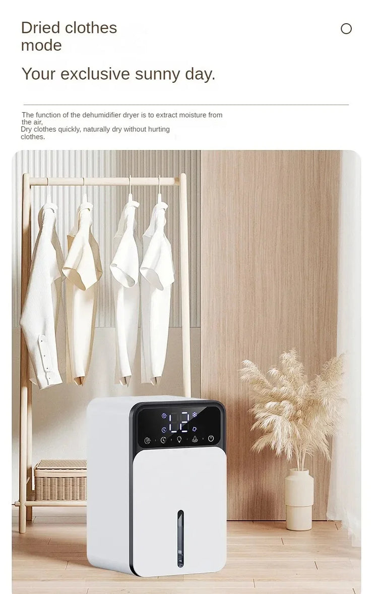 Compact Dehumidifier for Bedroom  Quiet & Energy Efficient