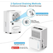 Dehumidifier 220V, Purification Capacity 12L/day for Whole House Dehumidificat,