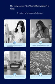 Digital Dehumidifier with Self-Stop Water Full Indicator Touch Screen Control