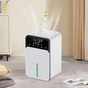 Compact Dehumidifier for Bedroom  Quiet & Energy Efficient