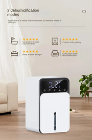 Compact Dehumidifier for Bedroom  Quiet & Energy Efficient